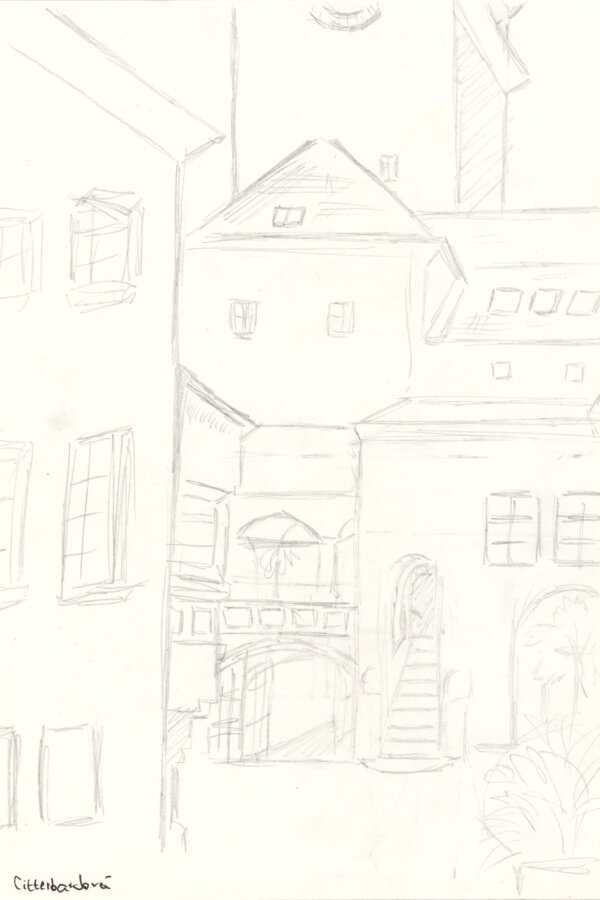 Amálie Citterbardová, 2. ročník 